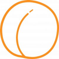 Albicocche extra cestino