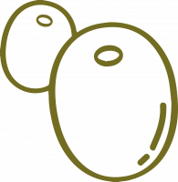 Olive Saclà denocciolate 290